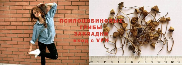 круглые Балахна