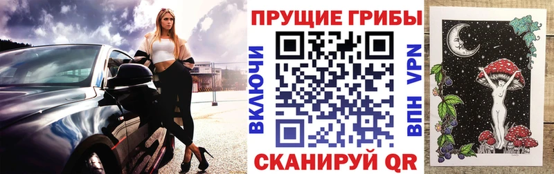 сайты даркнета наркотические препараты  купить  сайты  Гулькевичи  Псилоцибиновые грибы мухоморы 